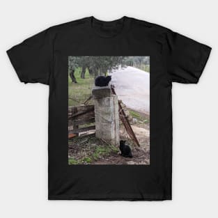 The Solace of Cats T-Shirt